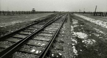 Giornata della Memoria tra ricordo e oblio: bisogni indispensabili che non si escludono