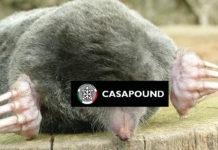 Talpa di Casapound in Campidoglio… e il web si scatena