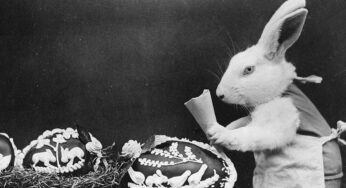 Coniglio o lepre pasquale? Ecco com’è nata la tradizione dell’animale simbolo