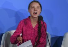 fulvio abbate greta thunberg