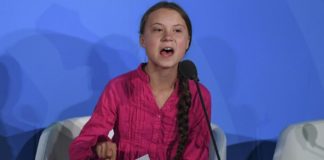 fulvio abbate greta thunberg