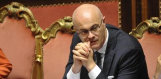 Federico d'Incà governo