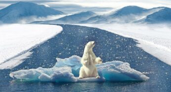 Il cambiamento climatico galoppa: servono decisioni drastiche perché non c’è più tempo