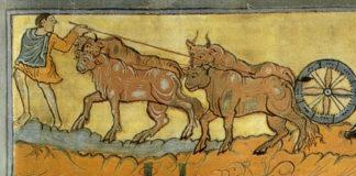 Come l’invenzione delle banche ha cambiato la storia dell’umanità