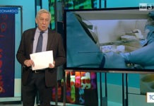 Servizio TGR Leonardo Coronavirus 2015 Rai 3