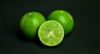 Sinfonie di sapori: gli abbinamenti del lime