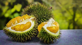 Lo conosci il durian? È un frutto esotico e ha un odore un po’… particolare!