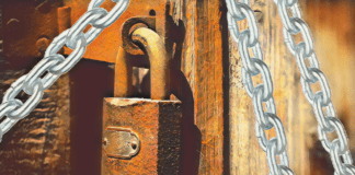 Sono pronti a tumularvi dentro casa con pene sempre più severe: a Davos hanno calato la maschera