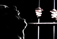 I veri danni della pandemia: i dati terrificanti di cui nessuno parla per l’indottrinamento mediatico