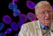 “Il mio appello ai medici: venite a vedere i dati della terapia” ▷ Dott. Di Bella