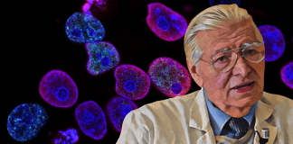 “Il mio appello ai medici: venite a vedere i dati della terapia” ▷ Dott. Di Bella