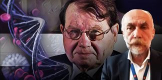 Sars-Cov 2 manipolato in laboratorio? ▷ Dott. Stramezzi: “È un virus molto strano, qualcosa non torna”