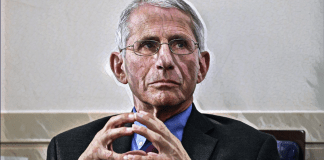 Assurdo! Scoppia lo scandalo internazionale che travolge Fauci: osservate bene la mossa dell’Italia