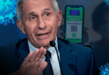 Anthony Fauci sorprende tutti ▷ “La rivelazione sulla variante Delta cambia tutto sul green pass”