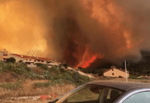 incendi sardegna