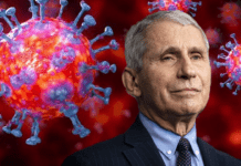 “Ci prendevano per pazzi, ora lo dice anche Fauci”: l’appello di libertà di una studentessa