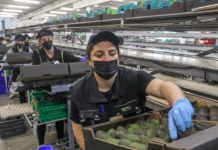 “Super” Green pass, la trovata per difendere i lavoratori: “Non discrimineremo i nostri dipendenti”