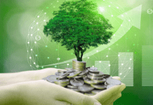 Non vi hanno spiegato tutto: vi dimostrerò che per attrarre denaro questo principio è fondamentale