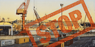 Green Pass, porto di Trieste a rischio blocco totale ▷ “Non ci fermeranno con i tamponi gratuiti”