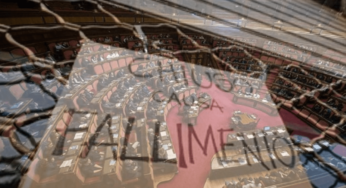 La mossa del Parlamento che fa impallidire: allargano le braccia di fronte a tutti questi fallimenti