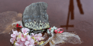 Giorno del Ricordo, la testimonianza in diretta ▷ “Uccisero mio zio, lo Stato paga ancora pensioni a quelli come loro”