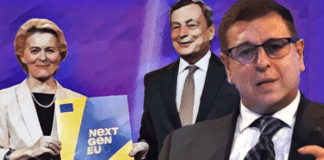 Malvezzi squarcia il velo sul futuro del PNRR ▷”Attenzione, stiamo distruggendo le piccole imprese”