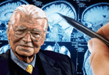 Lo studio inedito sui tumori cerebrali ▷ G. Di Bella esclusivo: “Presto la conferma sulle banche dati mondiali”