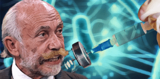 Aumento contagi, Stramezzi rivela reali cause ▷ “Dosi troppo vicine, sistema immunitario depresso” sistema immunitario