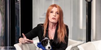 Allerta peste suina, On. Brambilla avverte ▷ “No agli abbattimenti, rischiano di favorire infezione” | Bau Miao 5° puntata