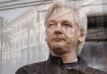 Assange stati uniti
