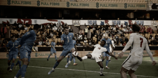 Lo scatto ▷ Gatti, buonissima la prima