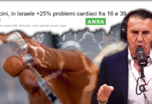 Anomalie vaccino: non era tutto inventato ▷ “Arrivano dati ufficiali su problemi cardiaci in Israele” ansa vaccini