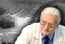 Dott. Di Bella chiama a raccolta i medici ▷ “Abbiamo nuovi dati incoraggianti, presto nuovi incontri” di bella tumori