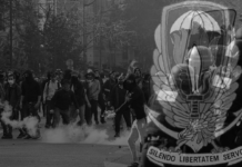 Il falso mito dell’italiano medio: il problema non è l’80% che non ha capito, ma il 20% che capisce