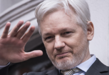 Finalmente un’azione concreta: io dico no all’estradizione di Assange e alla disinformazione