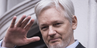 Finalmente un’azione concreta: io dico no all’estradizione di Assange e alla disinformazione