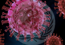 Alla fine è successo ciò che temevamo: ora il capitalismo può riorganizzarsi