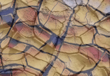 ‘No-sic’: la nuova ‘pericolosa’ categoria negazionista divulgata dai manipolatori dell’informazione