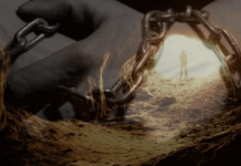 Esce allo scoperto il piano del potere: vogliono incatenarci all’ignoranza, rompiamo le loro catene educazione