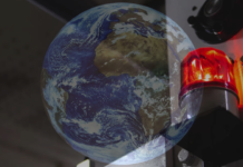 Esplode la prossima emergenza? Da dove viene il parassita che terrorizza gli USA: l’assurda ipotesi emergenza