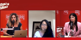 La lunga sfida per l’abolizione delle botticelle trainate dai cavalli nei centri storici delle città ▷ Bau Miao