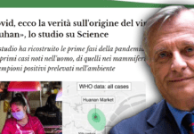 Saltano fuori studi internazionali pilotati ▷ Alberto Contri: “Ormai l’origine del virus è chiara”