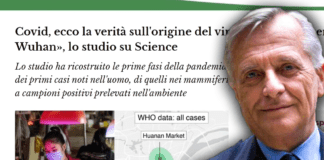 Saltano fuori studi internazionali pilotati ▷ Alberto Contri: “Ormai l’origine del virus è chiara”