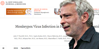 Vaiolo scimmie, l’indicibile verità sul The New England Journal ▷ Frajese: “Dati mai visti finora” vaiolo scimmie