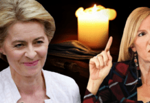 “Ero europeista: l’UE oggi è un mostro”, Holzeisen senza filtri ▷ “Siamo in una nuova Norimberga”