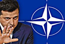 L’Ucraina ha chiesto l’ingresso nella NATO: così Zelensky si conferma un prodotto di Washington