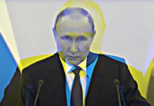 “Tutto questo da noi non si è detto”: la verità sul discorso di Putin ▷ L’esperta: “Ci ha avvisati”