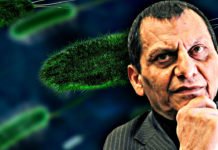 “Appena creato un ibrido tra cellule umane e cellule di topo” ▷ La rivelazione shock di Bizzarri