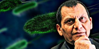 “Appena creato un ibrido tra cellule umane e cellule di topo” ▷ La rivelazione shock di Bizzarri