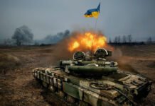 Tutte le falsità sul legame tra le armi in Ucraina e il decreto Nato-Calabria